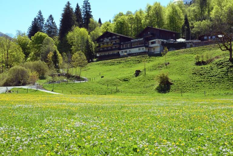 Hotel Bänklialp in Engelberg