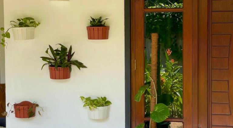 foto46