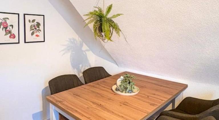 Apartment with 2 rooms for 4 persons — photo 4