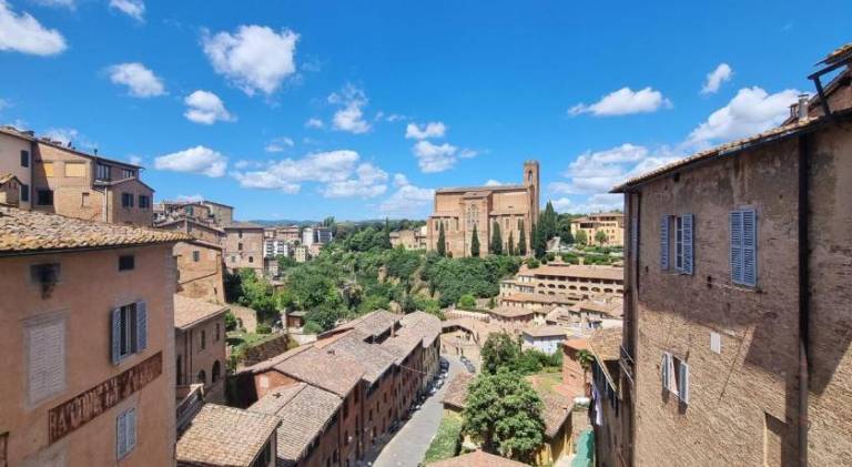 Charming holiday apartment | Close to Piazza del Campo | Pets are welcome — photo 4