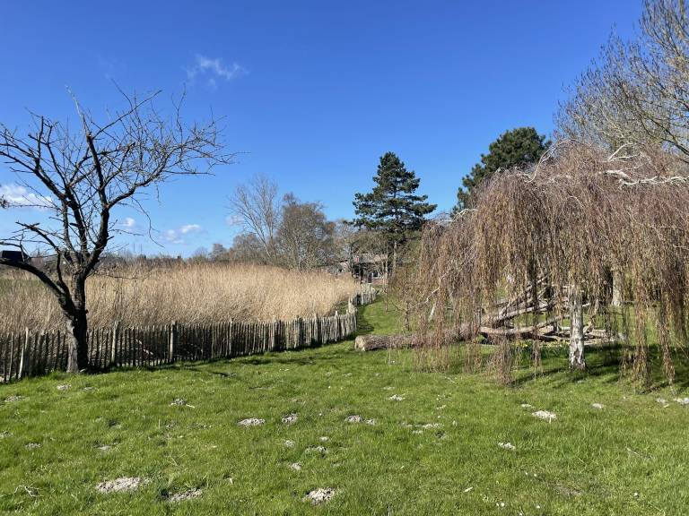 foto4