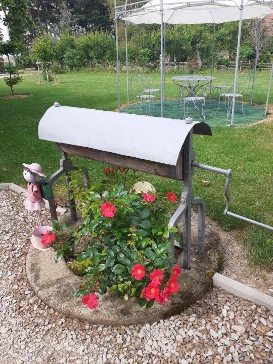 foto36