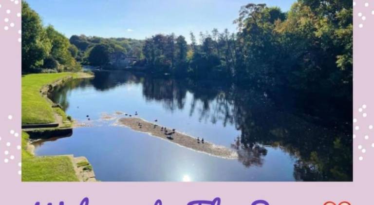 Lovely vacation home | Pets allowed in Harrogate