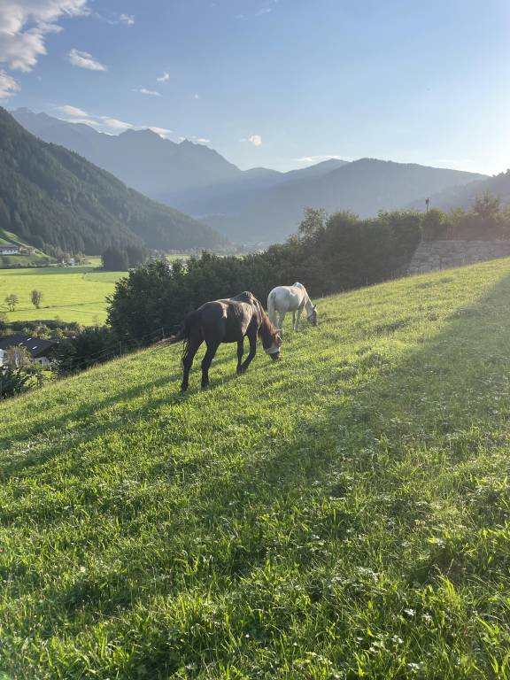 foto11