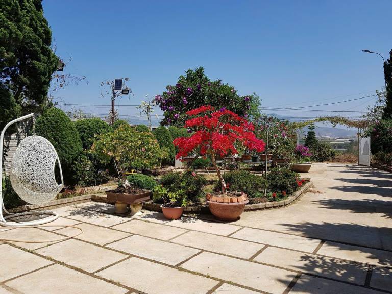 foto4