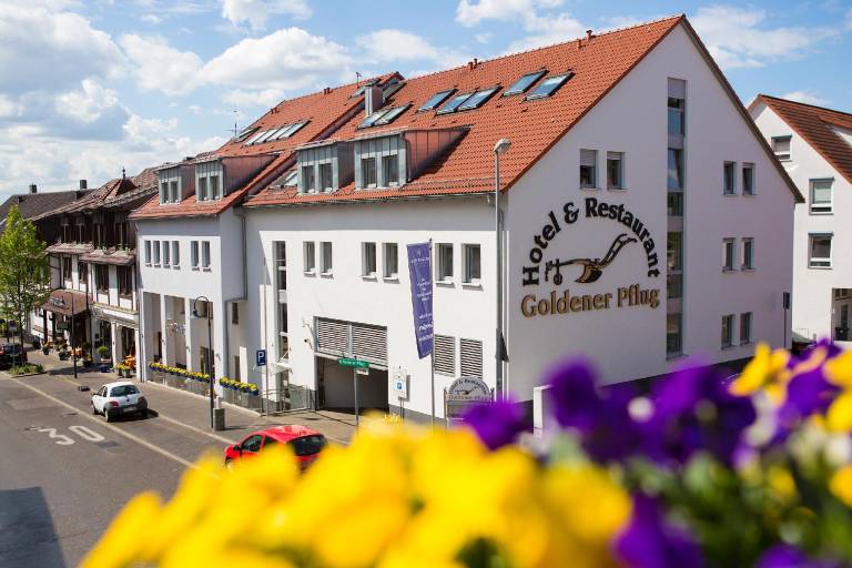 Hotel and Restaurant Goldener Pflug in Ludwigsburg