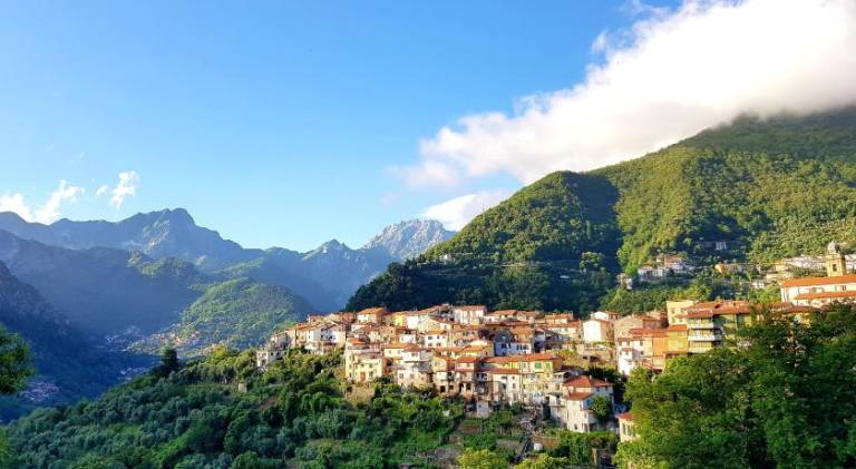 House | Pets allowed in Carrara