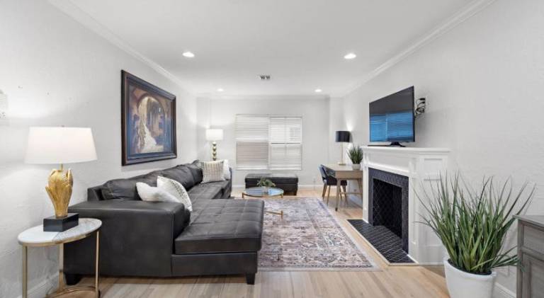 Holiday apartment | Next to Houston Museum of Natural Science | Good for workation | Pets are welcome in Houston, TX