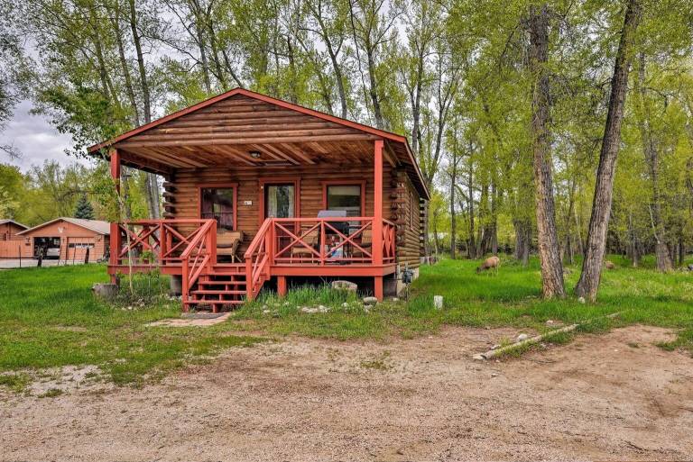 Cabin Buena Vista