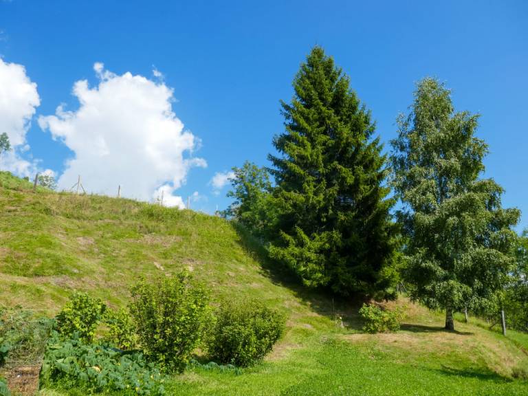 foto20