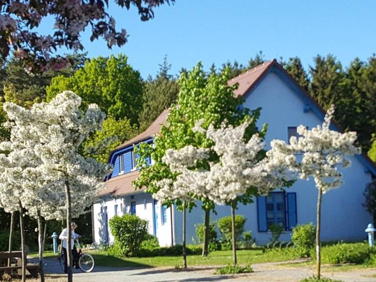 Ferienwohnung Dranske