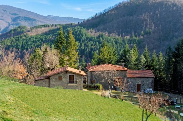 Ferienhaus in Bibbiena für max. 4 Personen, Ferienhaus in Bibbiena für max. 4 Personen,