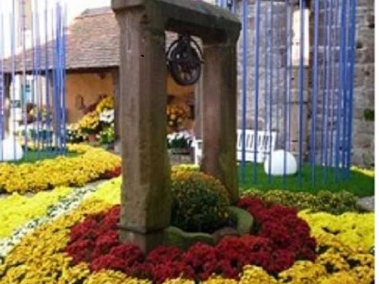 foto14