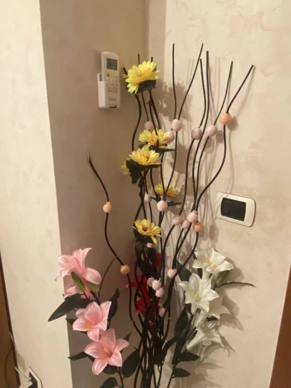 foto13