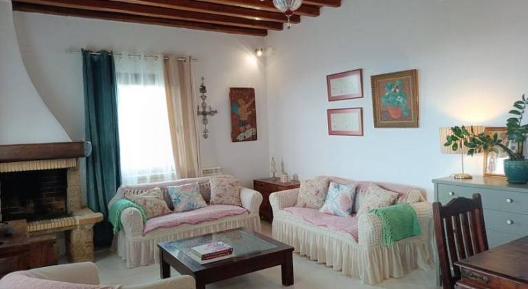 Apartment with patio & yard in Mykonos