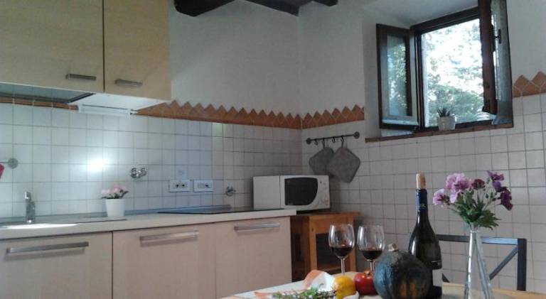 Nice farm with barbecue, yard & pool | Pet-friendly — photo 4