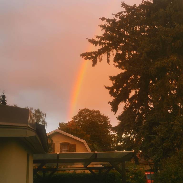 foto31