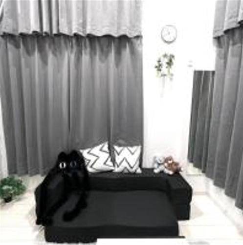 foto11
