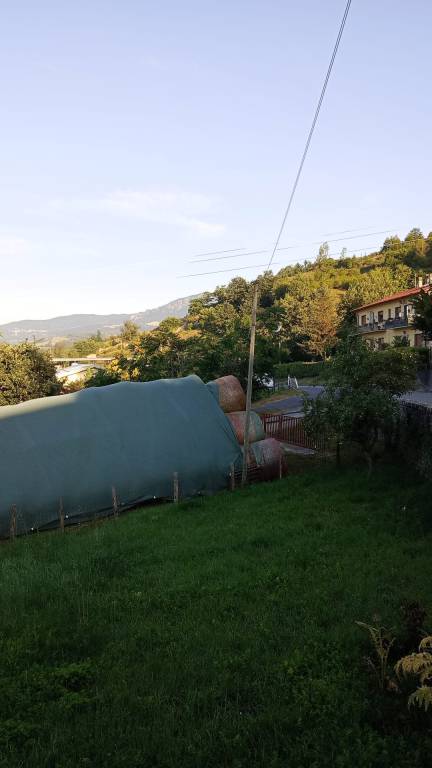 foto44