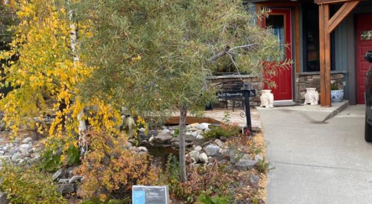 Pika's Place Bed and Breakfast — photo 5
