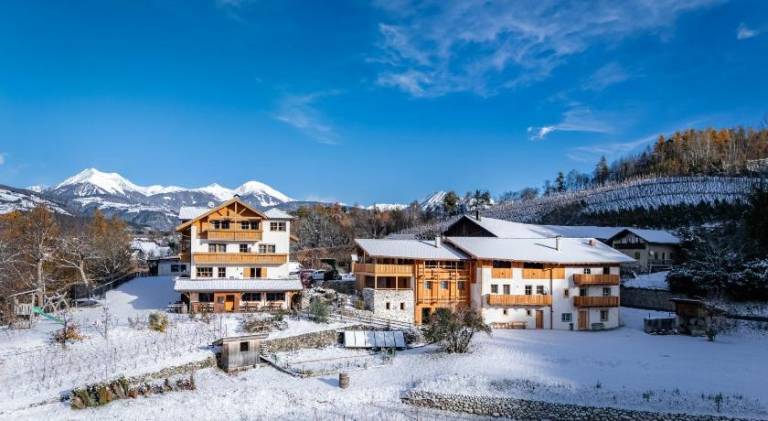 Trinnerhof Hof Chalets and Farm- Panorama Holidays & Brixen Card in Naz Sciaves