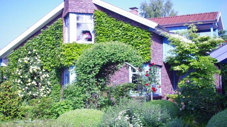 Ferienhaus  Hude