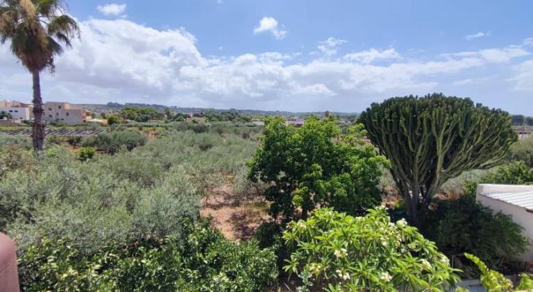 L'Araucaria casa vacanze in Marsala