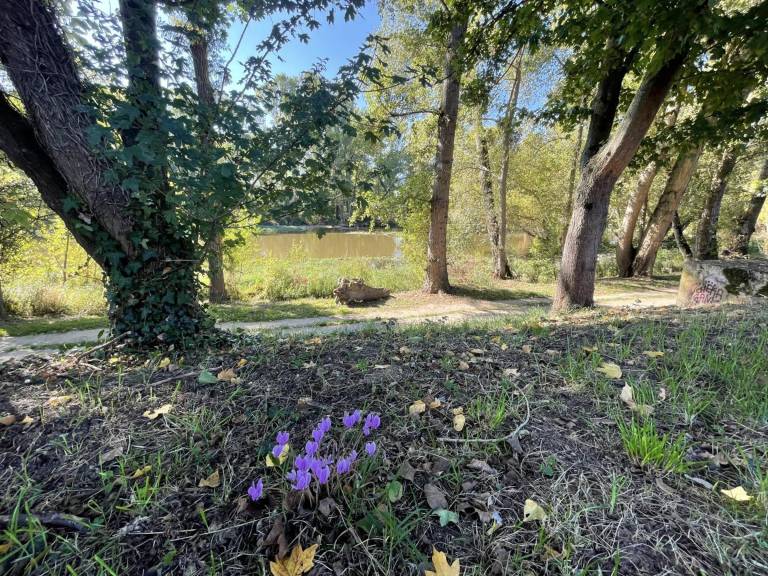 foto20