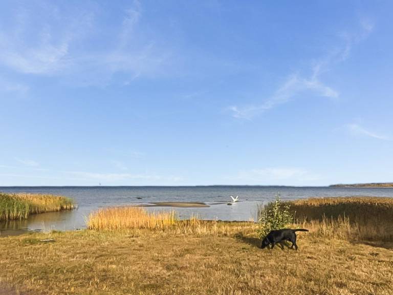Vacation home with sauna | Nature view — photo 3