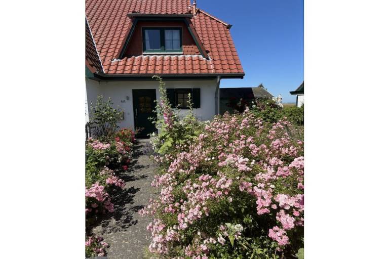 Ferienhaus  Dassow