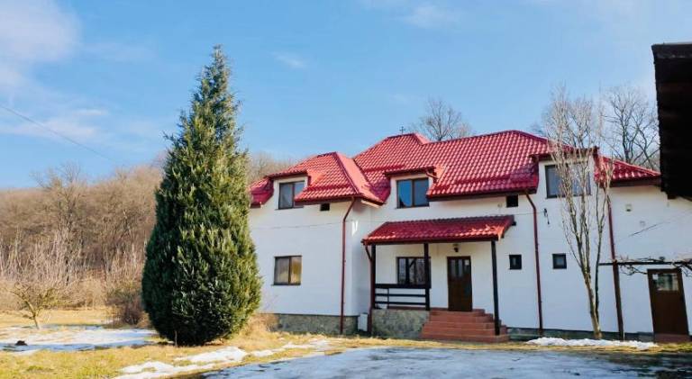 Villa | Pets allowed in Brasov
