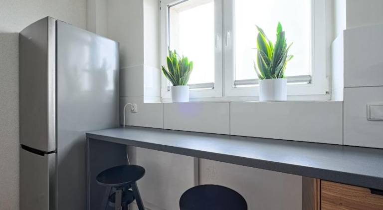 Holiday apartment with 1 room for 4 persons — photo 4