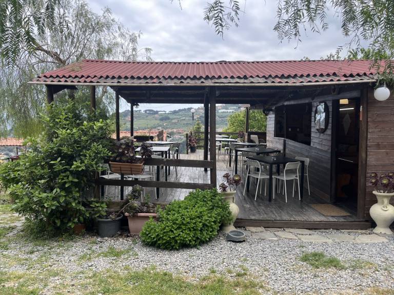 foto40