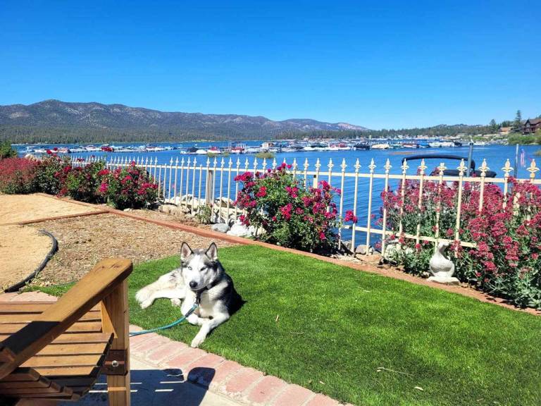Lakefront Chalet. 4 Bdrm Home with Hot Tub. Fire Pit. Dog Friendly. — photo 5