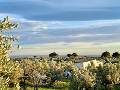 Bed & Breakfast Tortosa