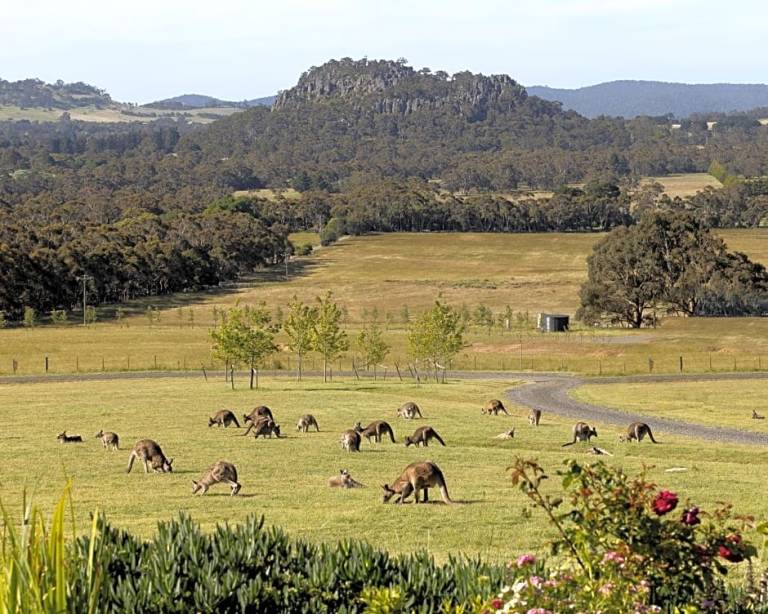 Bed and breakfast Woodend