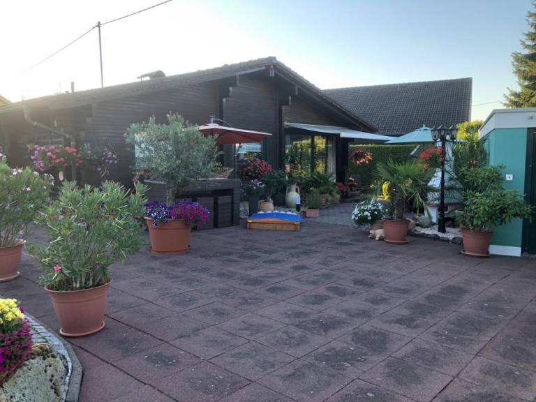 foto1