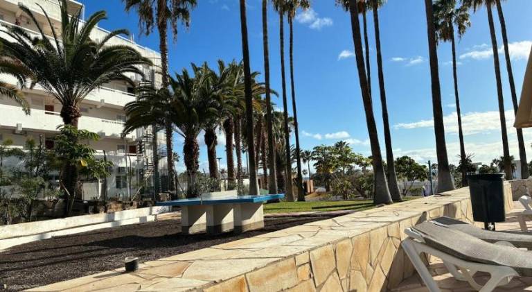 Playa de Las Americas Apto cerca de la playa, con piscina y parking — photo 3