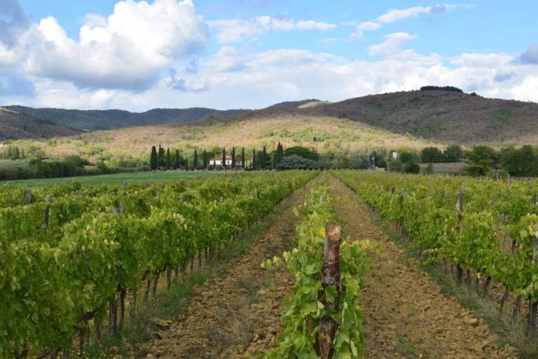 Agriturismo La Posta Reale: Appartamento Bellosguardo — photo 4