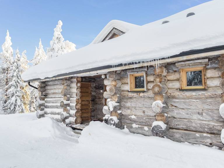 House with sauna — photo 3