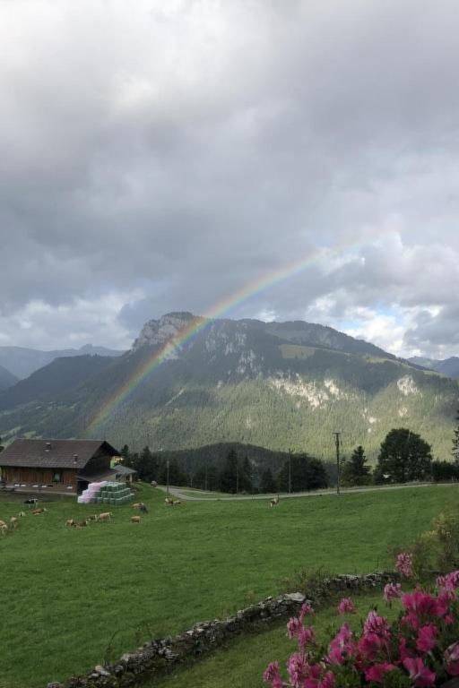 foto4