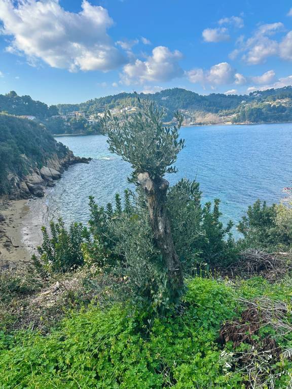 σπίτι Koukounaries