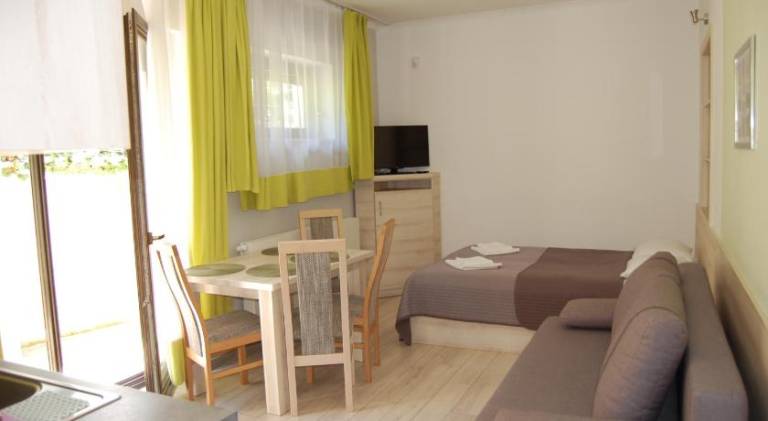 Apartment with 1 room for 4 persons in Wisla