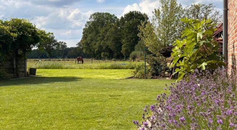 B&B Droomzoet