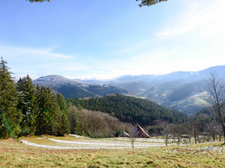 foto41