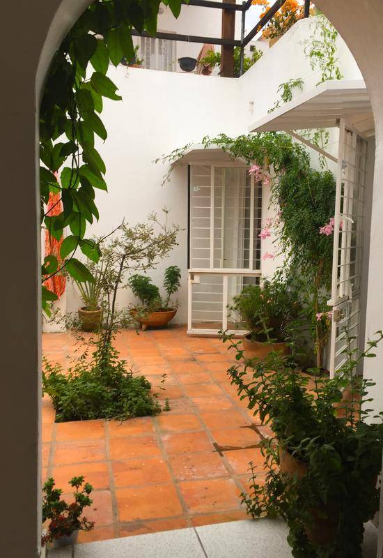 Casa Canario — photo 5