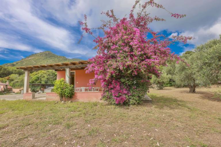 Villa with garden & BBQ — photo 4