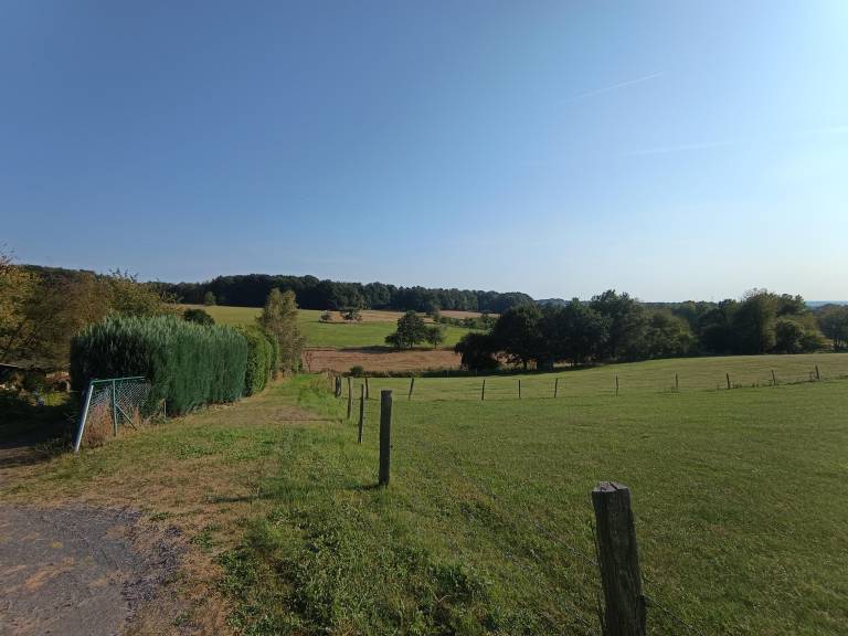 foto2