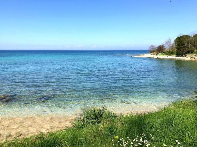 foto47