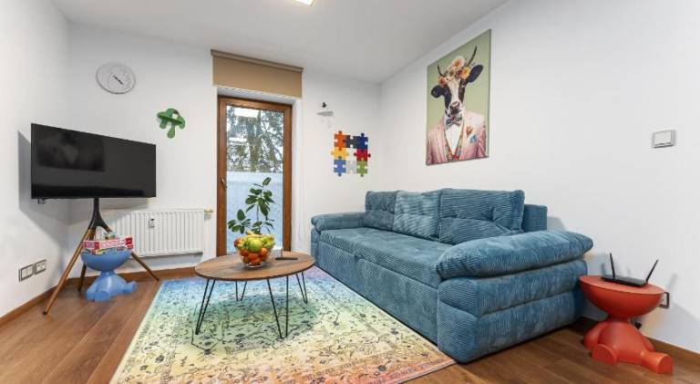 Apartment | Pets allowed in Plzen